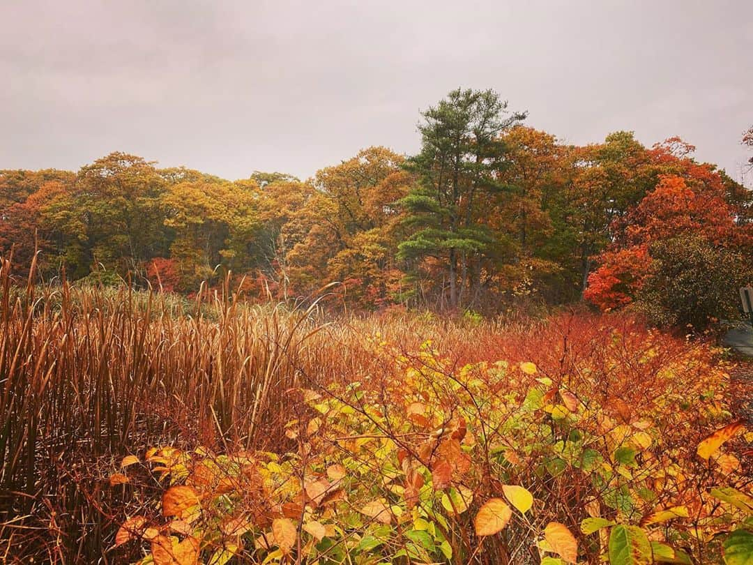 マシュー・グレイ・ギュブラーさんのインスタグラム写真 - (マシュー・グレイ・ギュブラーInstagram)「gourd boy shout out to nature」10月31日 4時09分 - gublergram