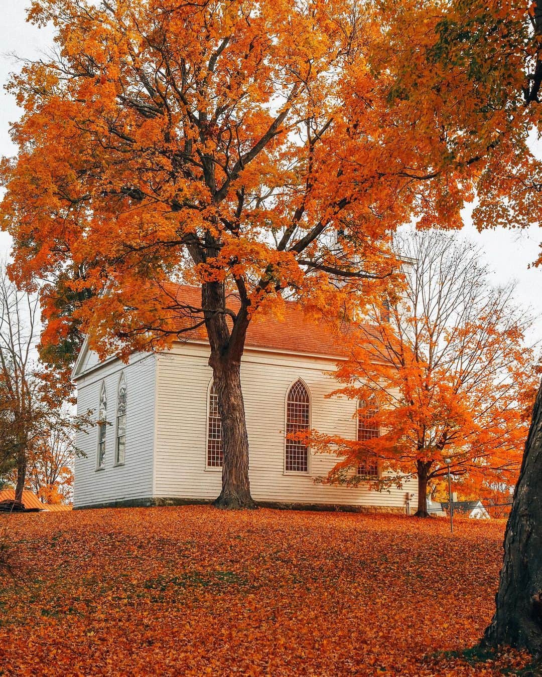 FOLKのインスタグラム：「I’ll call this a fireside chat. If you grew up in church like I did this is the part where the the pastor starts talking towards the end of the invitational. If you know the words to Just As I Am you can sing along...we’re in year 39 of 2020 and I feel completely defeated. We are a week away from the election, we are in a never ending and continually worsening pandemic, and it truly feels like there are no lights at the end of any of the tunnels. I’ve completely exhausted my energy having political tete-a-tetes like I’m a modern day Julia Sugarbaker. I’m exhausted from everything. Tonight I’m asking you to tell me something positive. Just something to bring a smile or a laugh or a warm feeling, cause everything feels hopeless. Usually I can keep it together and I can give a motivational speech like I’m Oprah, but right now I can’t. Help.」