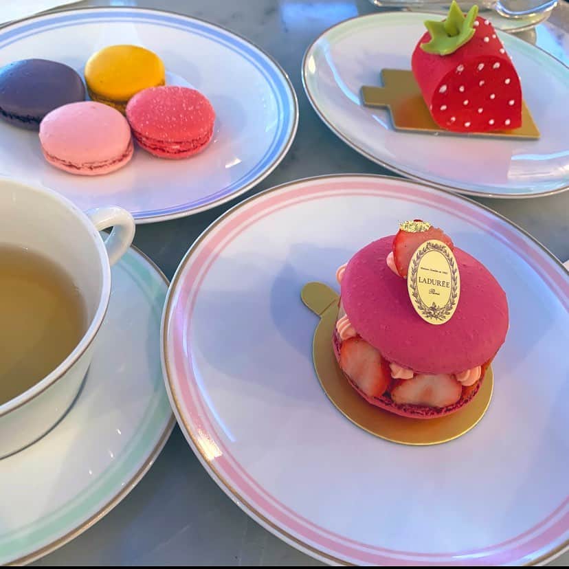 Laraのインスタグラム：「🍓 #laduree 🍓 . 全部可愛くて最高 🙌🏻💘 しかも全部おいしい〜😋💗💯💗 テイクアウトばかりで 銀座店で食べたの初めて🦄💖✨  香りもの好きにはラドュレのマカロン💝🇫🇷 (🌹推し)  #cafe #cake #macaron #colorful #strawberry #tea #halloween #autumn #seasonalfood #kawaii」
