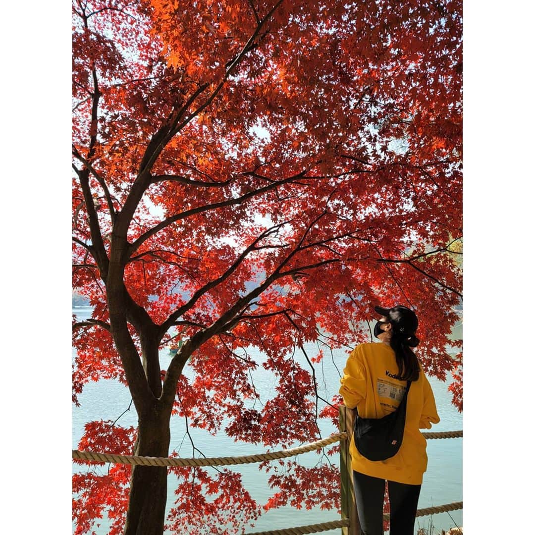 ソ・ユジンさんのインスタグラム写真 - (ソ・ユジンInstagram)「#명성산 #가을산 🍁🍂🍁🍂 #명성산억새바람길 #억새밭」10月27日 8時32分 - yujin_so