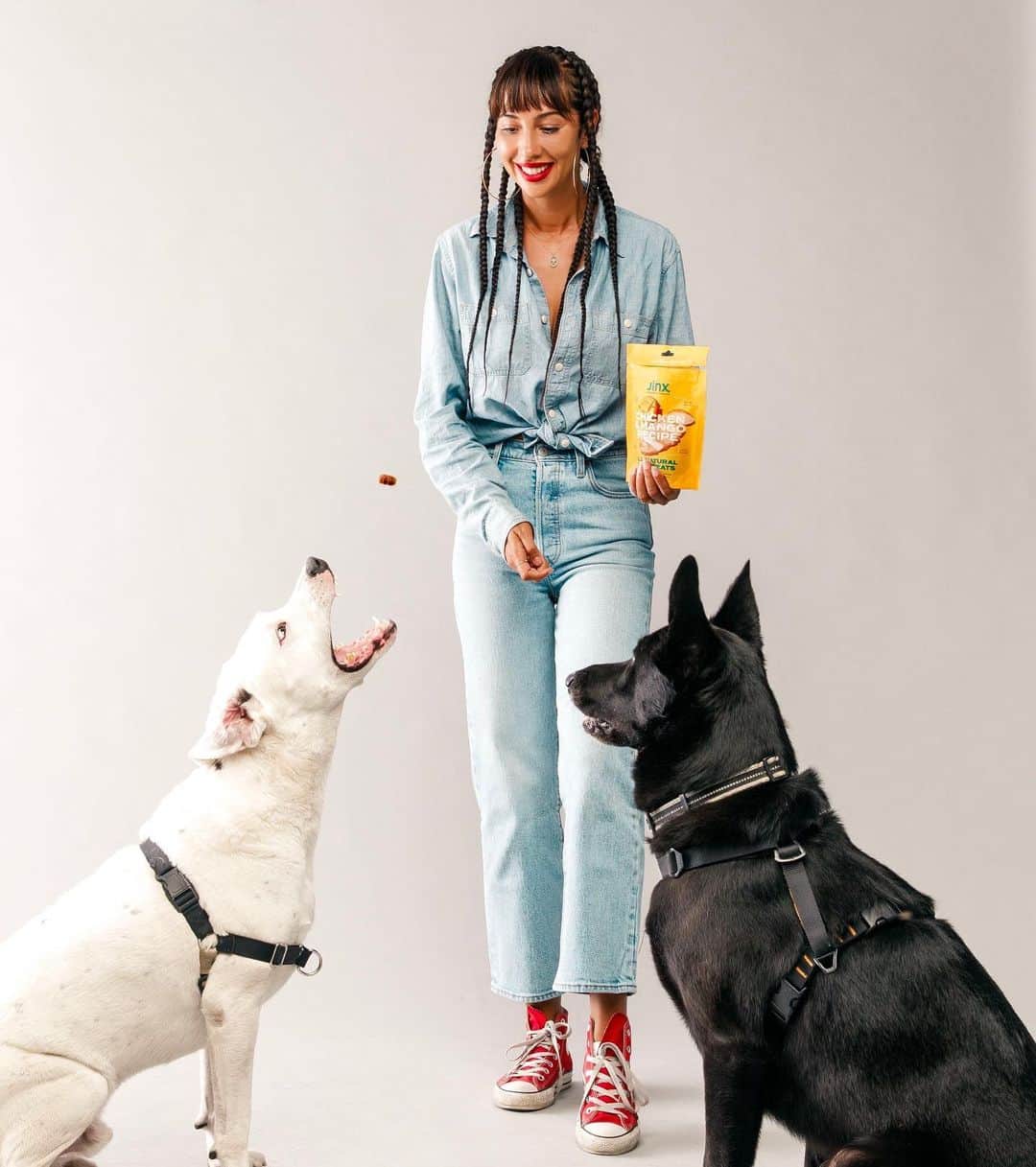 ジャッキー・クルーズのインスタグラム：「My dogs Picasso and Modi’s favorite food is @thinkjinx!」