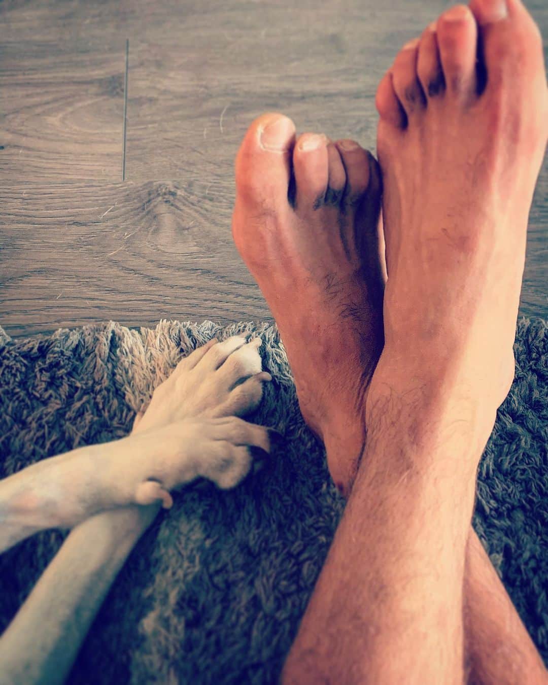 イグナシオ・セルキオのインスタグラム：「Guess which ones are paws?  Adivina cuales son las patas de animal」