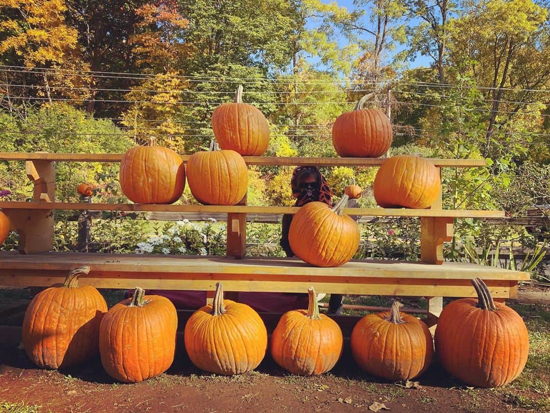 マシュー・グレイ・ギュブラーのインスタグラム：「12 pumpkins 1 gourd boy」