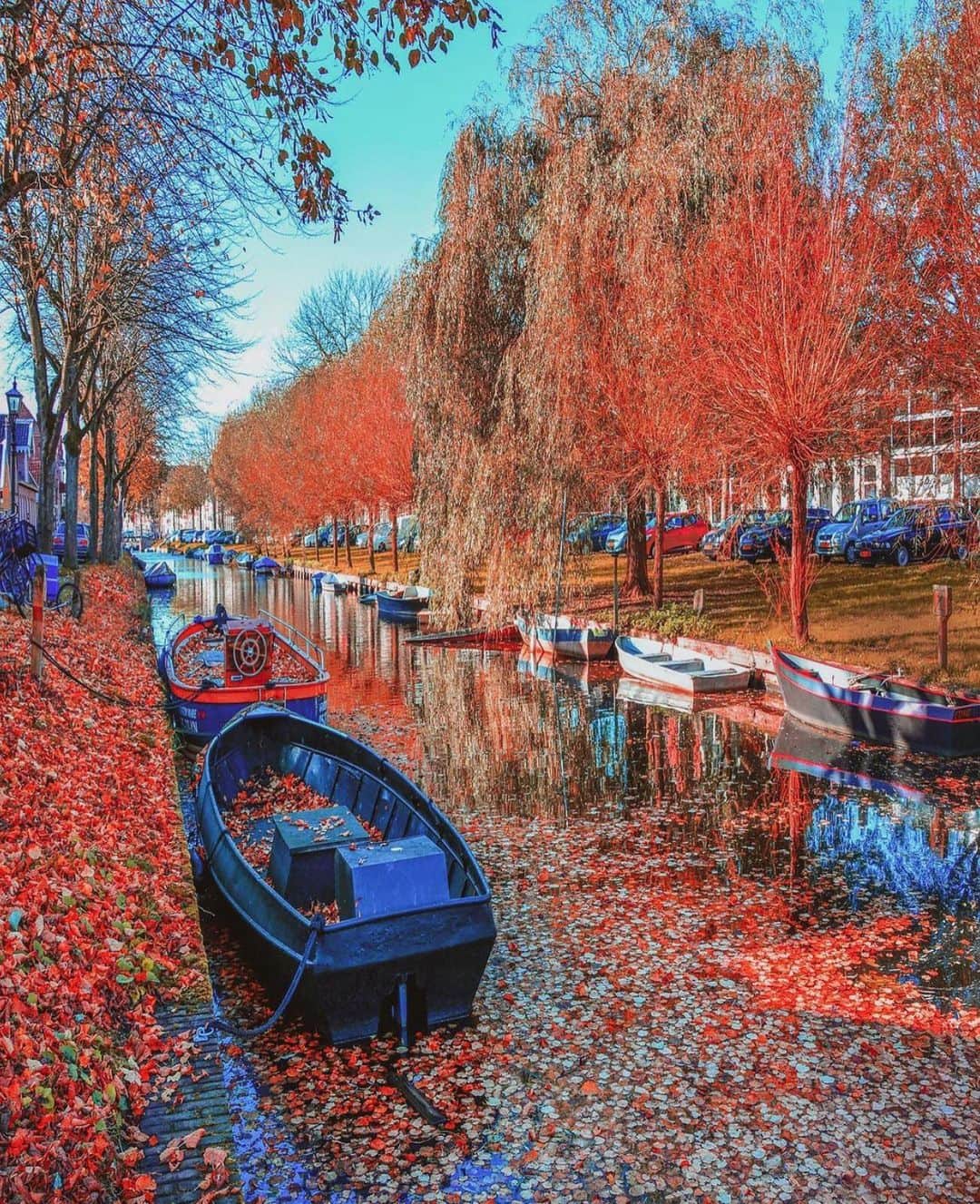 Wonderful Placesさんのインスタグラム写真 - (Wonderful PlacesInstagram)「Amsterdam ✨😍😍😍✨ . Pictures by ✨✨@kyrenian✨✨ #wonderful_places for a feature ❤️🍁」10月27日 0時55分 - wonderful_places