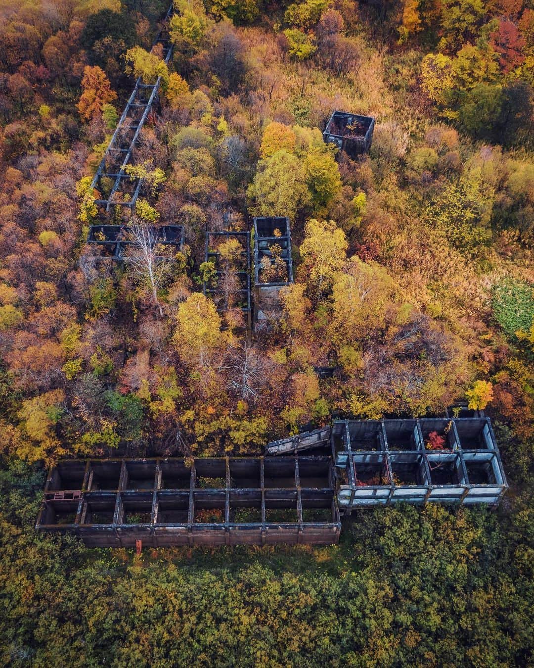 啝 （わ）のインスタグラム：「Abandoned Mine in Autumn colors 𓆲 𓆲 𓆲 #droneoftheday #djimavicpro #djiglobal #drone #dronephotography #dronestagram #dji #topdronephotos #fromwhereidrone #wedroneasia #droneosoar #skyhilife  #japan_urbex #JJ_URBEX #made_in_decay #kf_urbandonedmasks #KINGS_ABANDONED #m3xtures #Meistershots #moodygrams #nature_takes_over #natures_reclaim #ominous_perfection #pr0ject_uno #rsa_preciousjunk #savethedecay #sfx_decay」