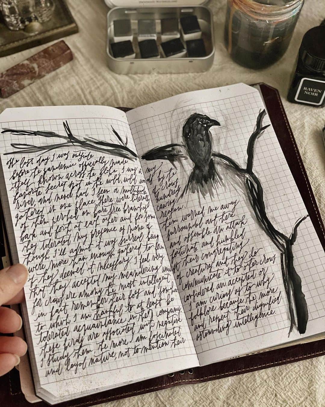 Catharine Mi-Sookさんのインスタグラム写真 - (Catharine Mi-SookInstagram)「The American crow has made itself cozy in our neck of the woods and each morning I hear its caw chatterings amongst the flock. They’ve been quite fascinating to watch and study, at times making a mess scavenging through trash cans with their spoils strewn about. I dare not shoo them away as they remember their foes and somehow find a way to point out these unfortunate individuals to the flock. Often portrayed as dark omens, they are also cited as helpful messengers, bringers of food, and are among the most highly intelligent of creatures not to mention devoutly loyal as crows mate with the same partner for life. Mysterious and enchanting nonetheless regardless of how they are perceived. . True story: the last day I freely frolicked outside before the pandemic made itself officially known, I was meandering through a stretch of wood by the river. It was the first time I had ever noticed crows there and I had never before witnessed so many congregating all at once. There were quite literally hundreds upon hundreds perched in the bare branches and had they not favored my presence amidst their raucous meeting, they could have easily forced my exit. Thankfully they tolerated me with no thundering cues or warnings and I thanked them for allowing me space to enjoy the scenery. I remember walking away that day wondering what they knew that I did not and feeling humbled that they let me sit in on their secret meeting. Ever since I’ve had a renewed appreciation and respect for their presence and am always ever curious of their understanding of life in its rhythms. . . . . Vagabond Notebook in NWF Cranberry, a co-design with @franklinchristoph — link in bio for all size & color options. JR Pocket Fountain Pen @esterbrook_official. Raven Noir Ink @monteverdepens_official. Watercolors @greenleafblue. Ceramic #mypitchpine Palette @pitchpinepottery. . . . . #journaling #vagabondnotebook #franklinchristoph #artjournaling #greenleafblueberry #watercolours #watercolorsketch #pitchpinepottery #esterbrookpens #fountainpens #penmanship #autumnmood #candlemagic #creativejournal #travelersnotebook #stationeryaddict #travelersnotebooks #thedailywriting #creativespace #monteverdeink」10月27日 2時13分 - catharinemisook