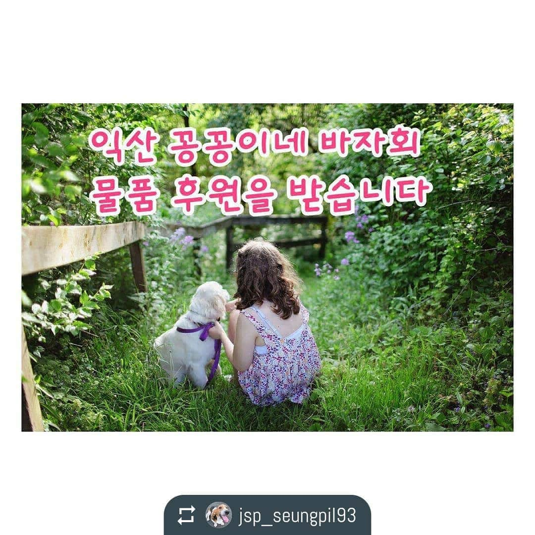 パク・ソングァンさんのインスタグラム写真 - (パク・ソングァンInstagram)「유기견들을 위한 작은 행동 큰 마음이 필요하다고 합니다~!!!  @jsp_seungpil93 by @easy_repost_app  💕💕 제 3회 꽁꽁이네 바자회💕💕 . 1️⃣1️⃣월1️⃣4️⃣일 (토요일) . ✔3개 보호소 합심 바자회가 열립니다. . 🎯 익산 꽁꽁이네  🎯 익산시 보호소 🎯 김제시 보호소 . #익산시청지원으로 #행사지원금지원 #유기견을위한자선바자회 #850마리잔치 . . ✔후원물품 기부해주세요. ✔반려견 반려묘용. ✔간식.사료.배변패드.의류.용품등등 . . 🎯꽁꽁이네  후원품 문의 . ☎️공영선 010 3074 2988   @ssailbud78 ☎️장승필 010 7769 0453   @jsp_seungpil93 . . 추워지기 시작하는 계절입니다 . 보호소 아이들을 위해 바자회를 합니다 . 판매가능한 물품 후원을 부탁드립니다 . 수제간식 .반려동물 용품 .의류 등등 . 판매 가능한 모든 물품을 다 받습니다 . 전주지역 물품 후원은 제가 직접 가지러 가겠습니다 . 연락만 주시면 어디든 가겠습니다 . 2020.11.14일 토요일 10시부터~5시까지 익산 중앙체육공원 관리소입구 광장입니다 . 물품이 많아야 판매도 많이 할수 있습니다 . 판매 수익금으로 겨울동안 꽁꽁이네가 버틸수 있습니다 . 봉사자님들도 수시로 모집 중입니다 . 주말봉사 평일봉사 가능하신분들 연락주시면 안내 해드리겠습니다 . 많은 관심 부탁드립니다 . 리그램도 부탁 드립니다! .  . #전주 #익산 #꽁꽁이네 #사설보호소 #유기견보호소 #유기견 #입양 #봉사활동 #꽁꽁이네보호소  #사지마세요입양하세요 #해외입양 #임보 #바자회 #후원 #수제간식  #강아지 #강아지그램 #좋아요 #하트  #강아지옷 #일상 #맞팔 #반려동물바자회」10月27日 2時25分 - parksungkwang_22