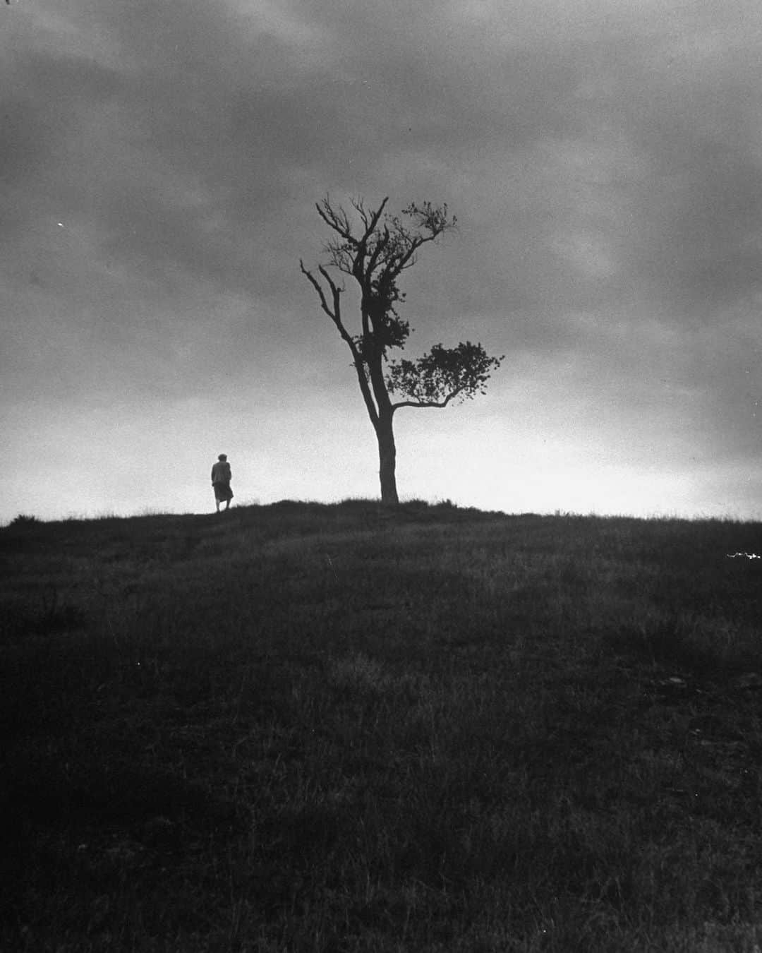 lifeのインスタグラム：「A lone figure at Gallow's Hill in Salem, Massachusetts, 1949. For more of our favorite spooky places, check out "LIFE: The Most Haunted Places" at the link in bio. (📷Nina Leen/LIFE Picture Collection) #halloweeninspo #hauntedhill #salemmassachusetts #ninaleen #spookytree」