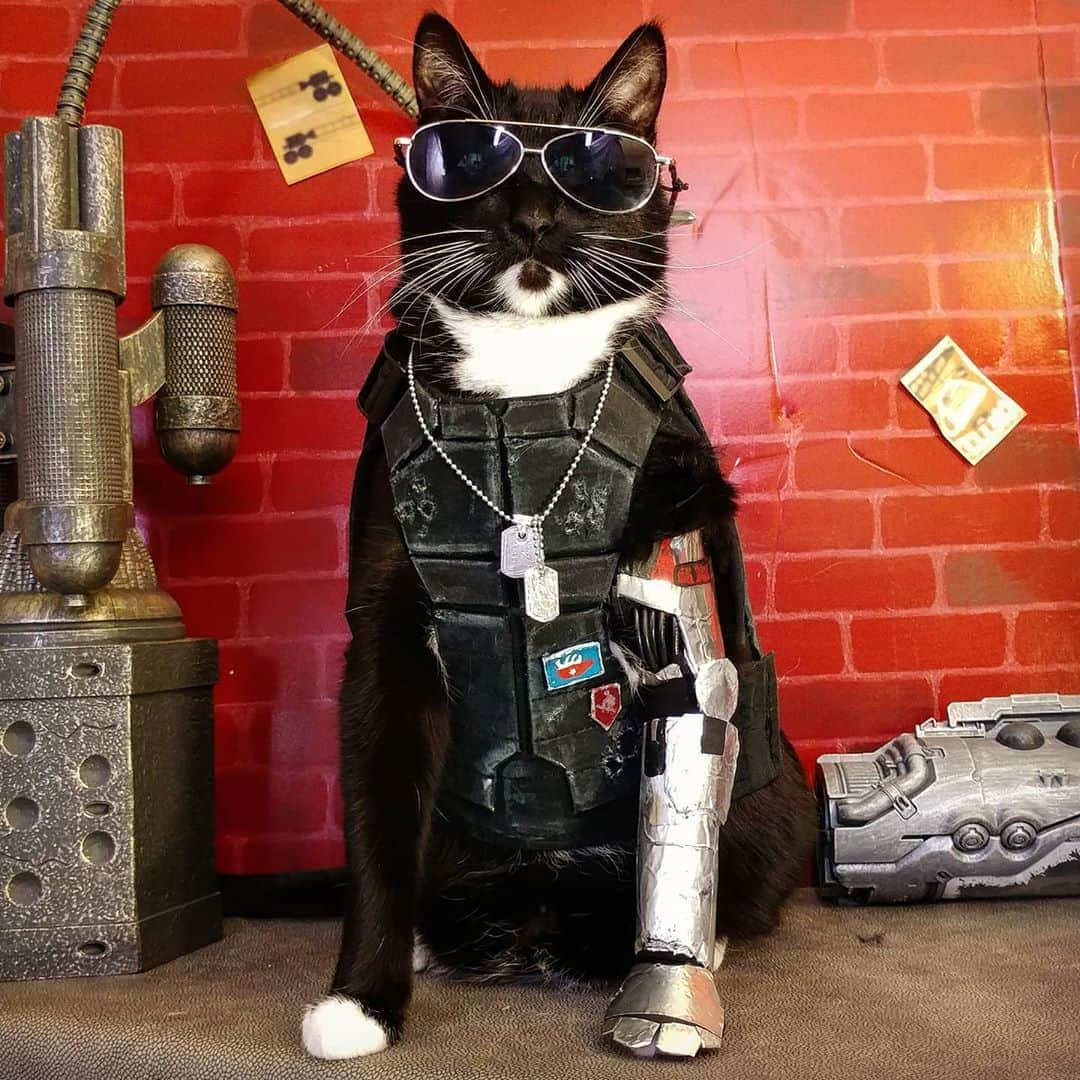 猫コスプレさんのインスタグラム写真 - (猫コスプレInstagram)「"Good thing you're shedding. We'll be fuzzing their security systems before the run."  #Cyberpunk2077 #JohnnySilverhand  . . . . . . . . . . #cyberpunkcosplay #catcosplay #cosplay #cosplayer #cat #catcostume #catsinclothes #catsofinstagram #catstagram #petclothes #PetCostume #halloween #halloweenseason #halloweenideas #johnnysilverhandcosplay #cyberpunk #cdprojektred #cyberpunk2077cosplay」10月27日 3時48分 - cat_cosplay