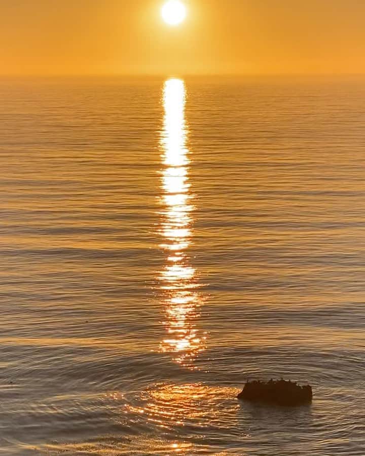 メロディー洋子のインスタグラム：「California sunsets always fill me with such gratitude. I am warmed from a direct line to the center of the Universe through my Great Central Sun.   I am planning to host a meditation workshop coming 2020. Would you like to join? 💌 Email “Meditation” to hello@melodyyoko.com to be put on my waiting list 🔜 Details to come.   一緒に瞑想しない？今年にできるように頑張ります。待っててね。  #melodystravels #melodyexploresla」