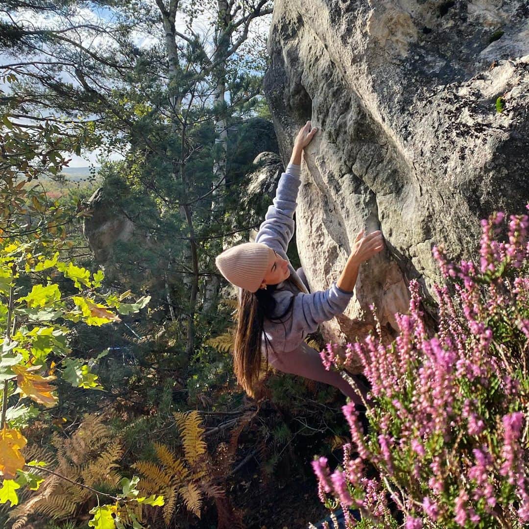 キャロライン・シノさんのインスタグラム写真 - (キャロライン・シノInstagram)「Un peu de soleil⭐️🙌🏼 au Coquibus cet après-midi.  La végétation hésite entre l’été à ma droite et l’automne à ma gauche.  Une belle lumière en tout cas🤩 📸 @upthatrock  @crimpoilofficial @girlsinbleau」10月27日 4時21分 - carosinno
