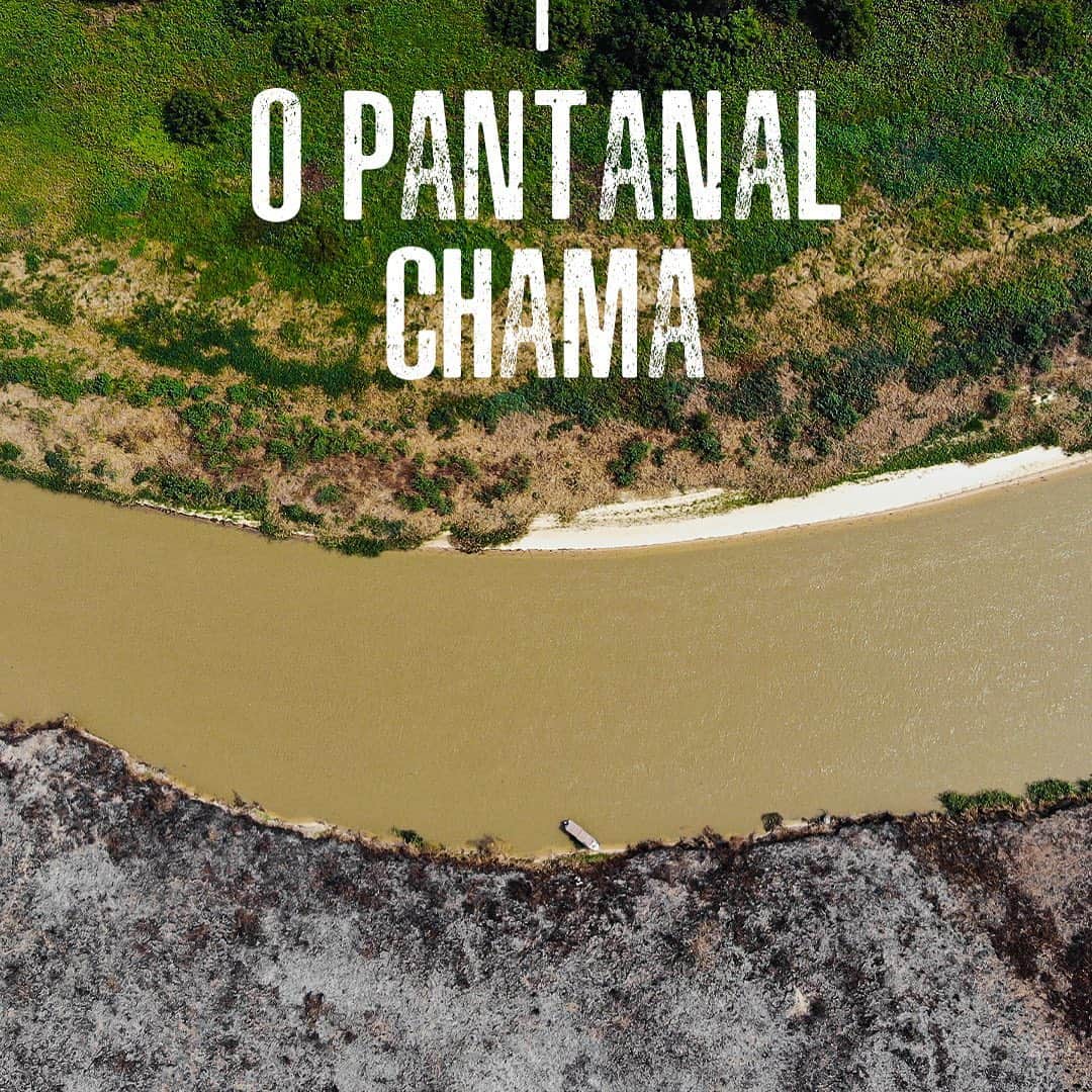 ルアン・サンタナさんのインスタグラム写真 - (ルアン・サンタナInstagram)「A maior tragédia ambiental sofrida pelo Pantanal em toda a sua história. Mas chegou a hora de mudarmos esse caminho e traçarmos um novo rumo.   O primeiro passo está dado! Assine agora o MANIFESTO DO MOVIMENTO #OPantanalChama no link que está na bio ou direto aqui https://opantanalchama.sospantanal.org.br/. Vamos espalhar, galera! O Pantanal tem pressa e está chamando. @sospantanal @uniaobrorg」10月27日 4時30分 - luansantana