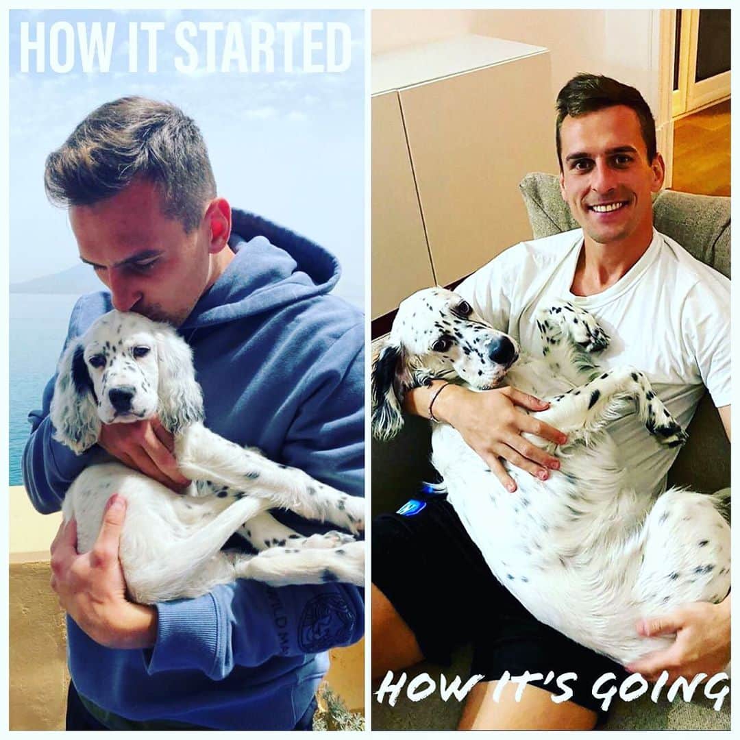 アルカディウシュ・ミリクのインスタグラム：「🐶❤️#ganador」
