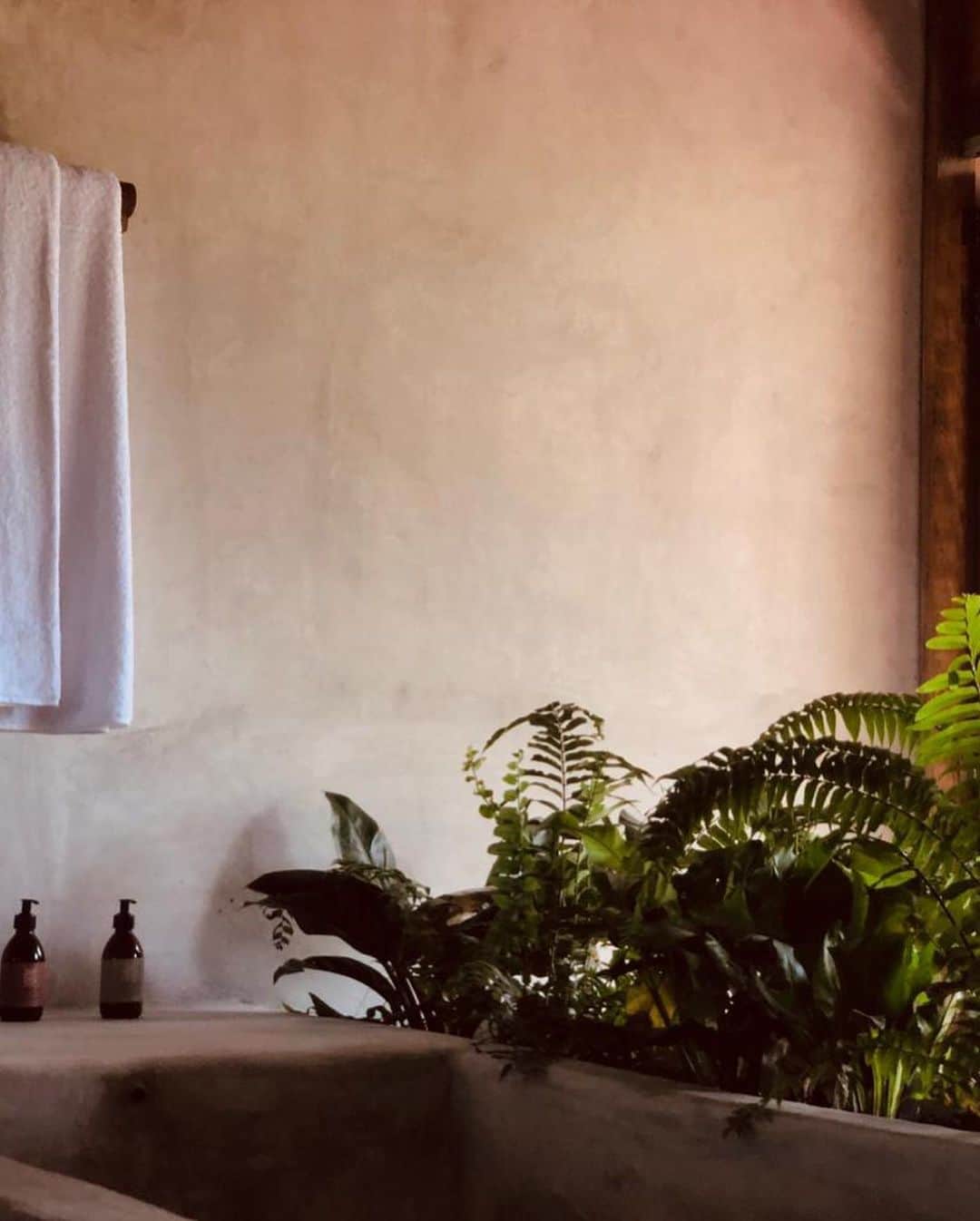トームさんのインスタグラム写真 - (トームInstagram)「Officially the best bathroom of the trip thus far @monteuzulu #monteuzulu #sanaugustinilo #Oaxaca #mexico」10月27日 4時49分 - tomenyc