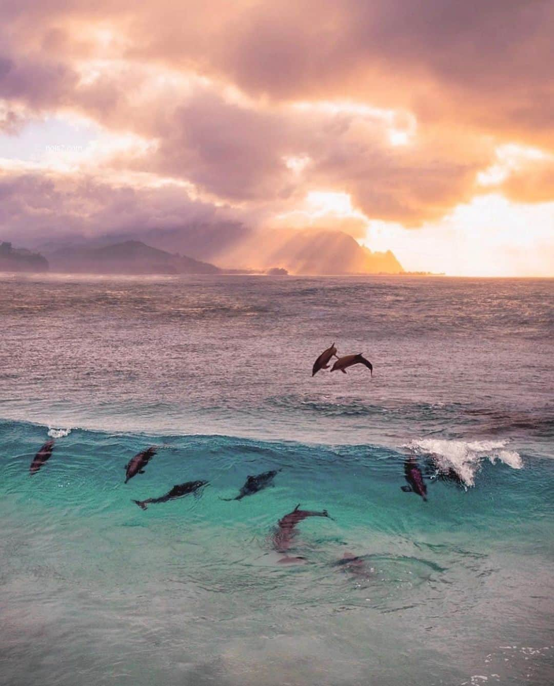 Canon Photographyさんのインスタグラム写真 - (Canon PhotographyInstagram)「Diving dolphins in Mauritius  Photography // @nois7  Curated by @henry.nathan  #dolphins #mauritius #sunset #ocean #sky」10月27日 4時59分 - cpcollectives