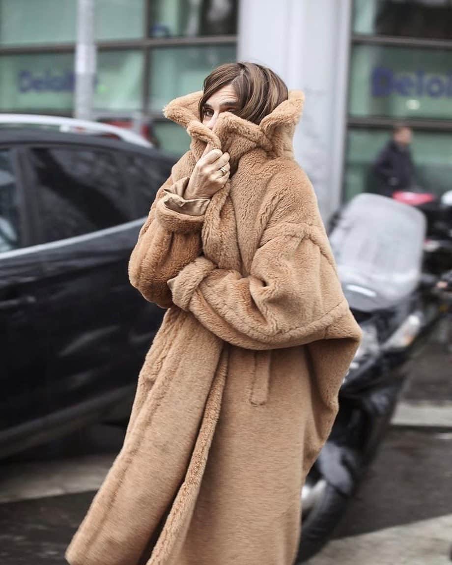 のインスタグラム：「It’s teddy bear season again 🌪」