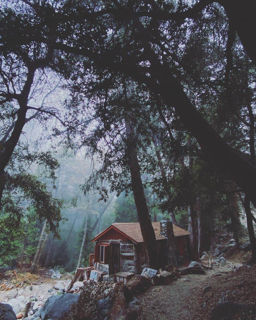 エディー・マーティンさんのインスタグラム写真 - (エディー・マーティンInstagram)「Cute cabin in the woods I saw yesterday.」10月27日 6時04分 - eddymartin