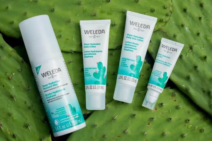 Weledaのインスタグラム：「Discover the NEW Sheer Hydration Collection! 🌵 We've tapped the water binding properties of the prickly pear cactus to deliver weightless, breathable moisture to your skin. Our new facial care range activates your skin’s natural ability to balance and retain moisture, and leaves your skin feeling as if you've been transported to an oasis all day long. #WeledaSkin」