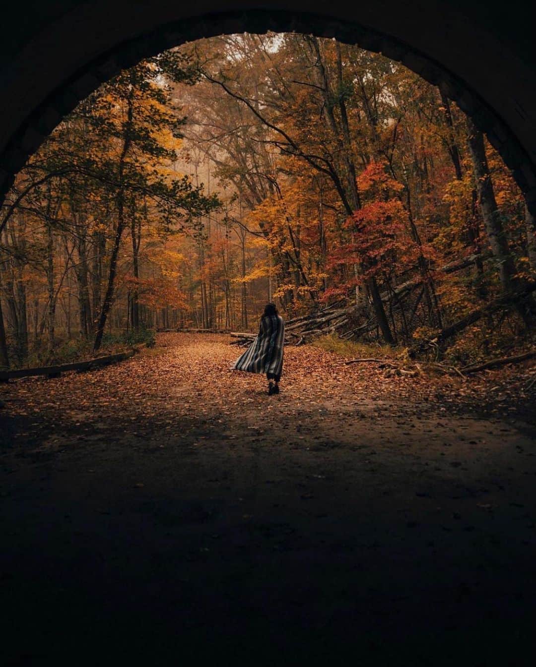 FOLKのインスタグラム：「Happy spooky week, y’all. Today’s favorites: 1.) @j.scud 2.) @cfunk44 3.) @ryanresatka 4.) @karl_steinegger 5.) @austinrutland 6.) @bennett_young」