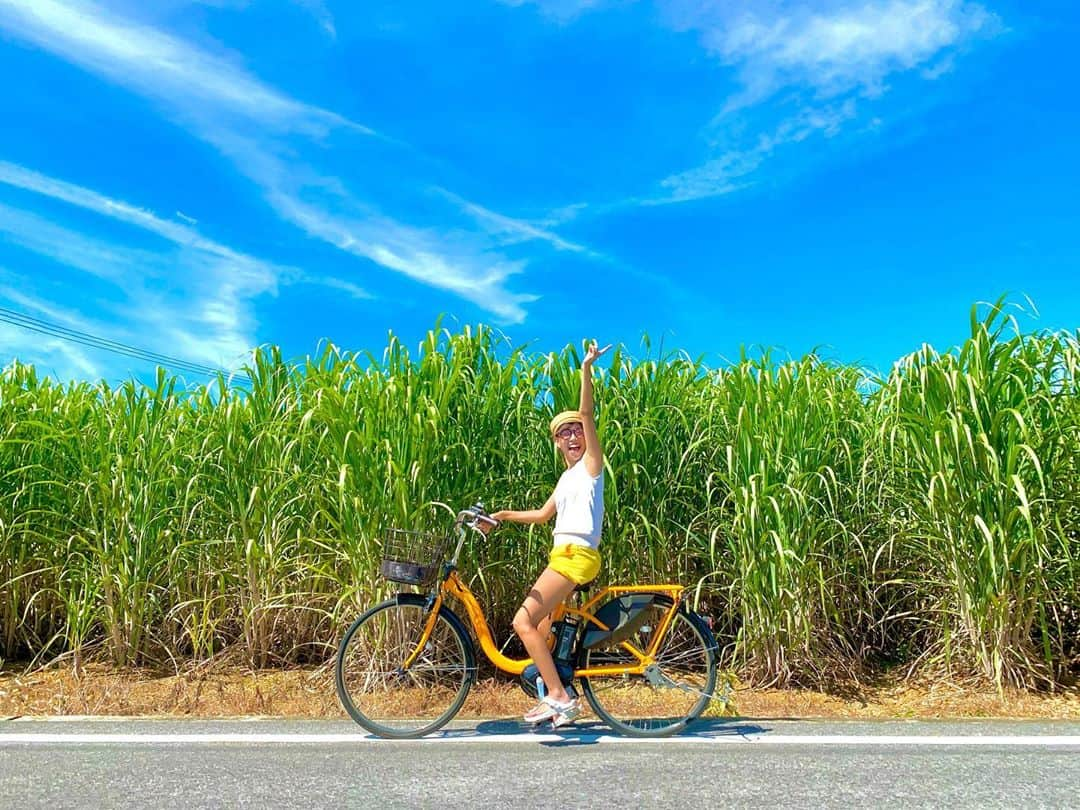 EMIKAさんのインスタグラム写真 - (EMIKAInstagram)「🚲 ホテルで自転車をレンタルして そのままシュガーロードヘ サイクリング 🚲 天気も良くて青い空とサトウキビの緑が とってもキレイで癒されました ☀️ #デュアルライフ #二拠点生活 #沖縄生活 #福岡生活 #沖縄旅行 #福岡旅行 #沖縄観光 #福岡観光 #沖縄スポット #福岡スポット #沖縄ライフ #福岡ライフ #沖縄インスタ #福岡インスタ #okinawa #fukuoka #travel #trip #sea #summer #女子旅 #カップル旅行 #カフェ #かふぇすたぐらむ  #カップルグラム  #カフェスタグラム  #石垣島 #小浜島 #シュガーロード #自転車」10月27日 8時17分 - dual.life.couple