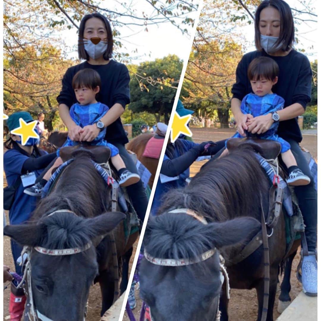 矢沢心さんのインスタグラム写真 - (矢沢心Instagram)「東京お天気が良くて気持ちよく先週の日曜日は8月以来だったようです 公園に行くと乗馬体験が出来るようで残り1組！ 姉妹は弟に譲り、息子は大好きな動物の馬に乗る事が出来とっても嬉しそう💗 お馬さんのうたを歌いました♪  （2枚目の写真） でも 近くで見るお馬さんは眺めている時よりも大きくて少し怖くて先に馬に乗る私から離れると不安な表情でした （1枚目） 乗り始めたらこんなに嬉しそうで家族みんなで満足できた1日でした😊  #乗馬 #公園 #心息子 #日曜日の過ごし方」10月27日 8時22分 - yazawashin.official