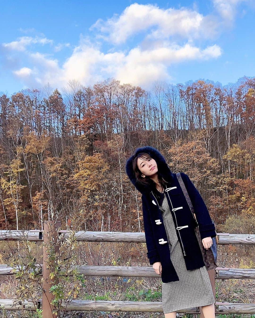 大須賀あみさんのインスタグラム写真 - (大須賀あみInstagram)「🍂﻿ ﻿ この日しか観光してないから﻿ 同じような写真多いけど許してね！﻿ ﻿ 北海道はもうすっかり紅葉してたよ🍁﻿ ﻿ 地元も田舎なので﻿ 自然の景色はわりと見慣れてるけど…﻿ とにかく広い！でかい！広大！でした﻿ ﻿ 運転してたら可愛い子牛ちゃんがいたり﻿ プリウスより背が高いトナカイ出てきたり﻿楽しかったです🦌﻿ ﻿ ﻿ #秋の景色 #北海道女子旅 #美瑛観光 #秋コーデ2020 #ダッフルコートコーデ」10月27日 19時17分 - osugaami_official