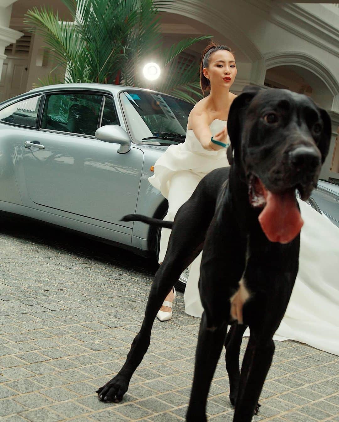 ソニアのインスタグラム：「Me being dragged around by life’s responsibilities 🥴🤣  Btw join me tonight at 9pm!! Going live on IG - you can ask me ANYTHING! See you then ♥️  #armanibeauty #midnightthegreatdane PC: @nicolequek - always catching the “best” moments 🙄」