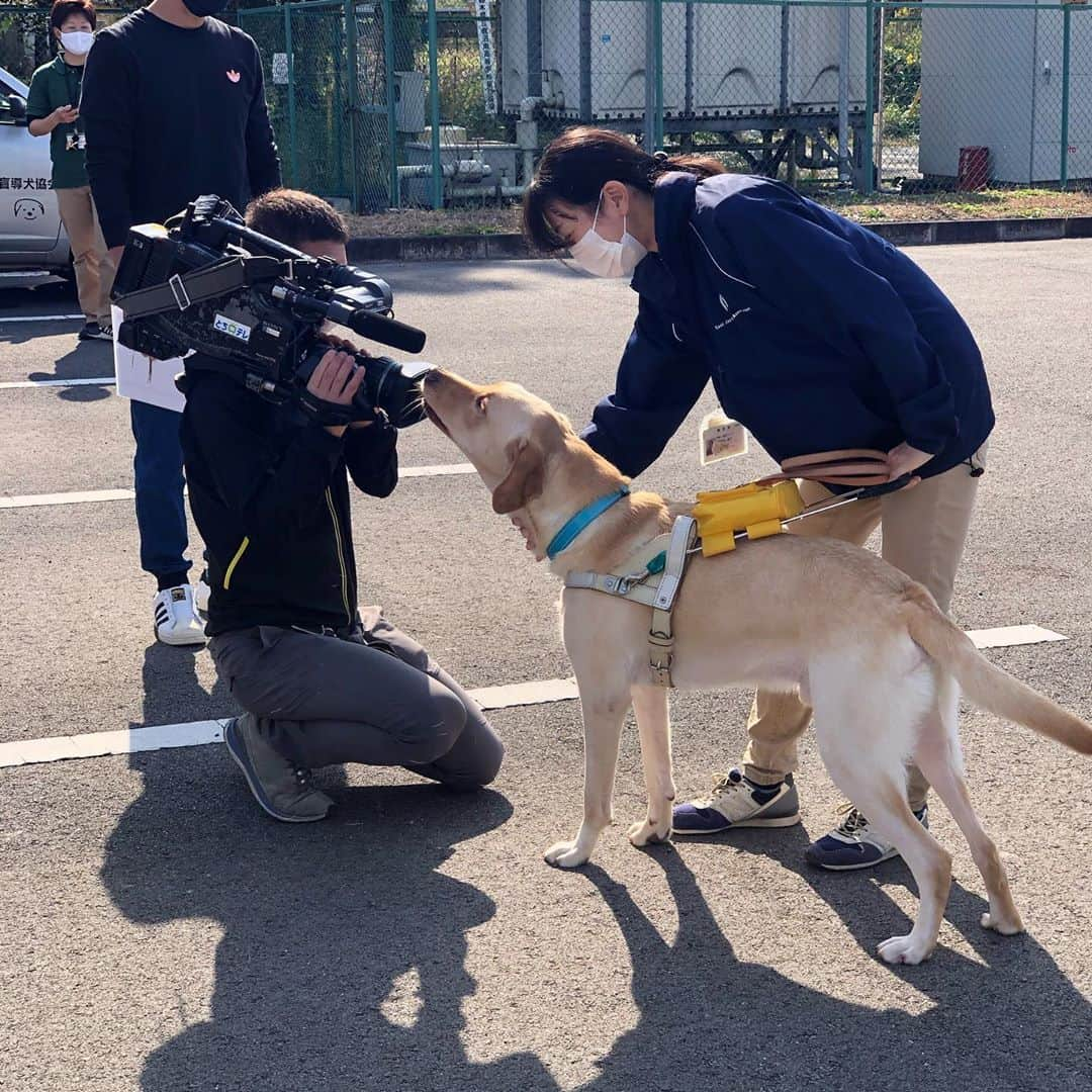 小池祥絵さんのインスタグラム写真 - (小池祥絵Instagram)「今日は朝からペットロケ🐶 東日本盲導犬協会での撮影でした！ 盲導犬の訓練見せていただきましたが本当に賢くておりこうさんで感動しました👏 いまからとちぎテレビイブ6プラス生放送⇒ラジオ収録です❗ みなさんぜひご覧下さい✨そしてメールもお待ちしております😊 #東日本盲導犬協会  #とちぎテレビ #イブ6プラス #ペットとイキイキ生活  #今日はあったかグッズをご紹介します #着る毛布 #CRT栃木放送 #とちぎまるごとアップライジング  #up@crt-radio.co.jp #メールください」10月27日 17時55分 - koikesachiesan