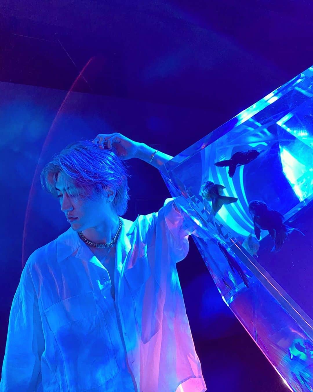 原田デイビッドのインスタグラム：「Embrace fear, it is not your enemy it is your motivation. ✌️  #blue #water #aquarium #aqua #fish #goldfish #white #reflection #color #surface #vibe #chill #embrace #feat #motivation #calm #tokyo #japan #photo #photography #art #light #海 #水 #アート #東京 #日本 #青 #ヒカリ #写真」
