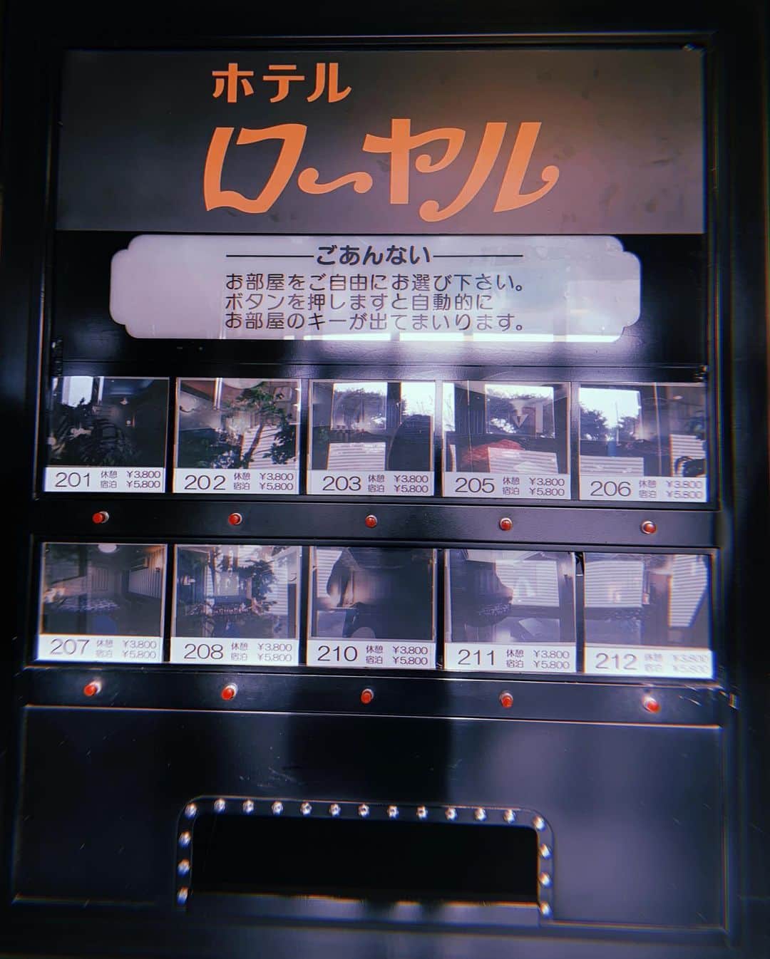 冨手麻妙さんのインスタグラム写真 - (冨手麻妙Instagram)「映画 #ホテルローヤル は11月13日公開だよ〜！！！！！！🏩💜💋  またバスローブ😂😂😂  東京ヴァンパイアホテル以来の @joeytee_official との共演だよ〜！！！ホテルローヤル、ヴァンパイアホテル。。。ホテルに縁があるの？🏨🏩  去年の6月に撮影してたから、すごい懐かしい、釧路、ステキな場所だったな。またいきたい。  #武正晴 #桜木紫乃」10月27日 18時04分 - amitomite