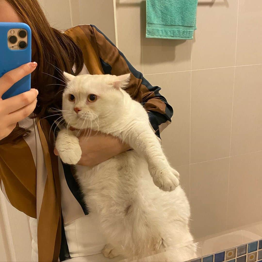 Haruのインスタグラム：「Shameless selfie 🤣🤣🤣 ต้าวอ้วนเจ็ดโล」