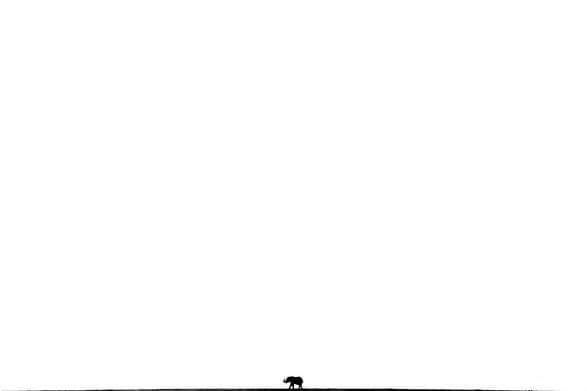 RIAノーボスチさんのインスタグラム写真 - (RIAノーボスチInstagram)「Стали известны финалисты конкурса GDT European Wildlife Photographer of the Year 2020. Его проводит Немецкое общество природной фотографии. Жюри выбрало лучшие из 19 тысяч снимков из разных стран мира. Кадр Джаспера Дуста "Маска обезьяны" стал абсолютным победителем.」10月27日 18時14分 - ria_novosti