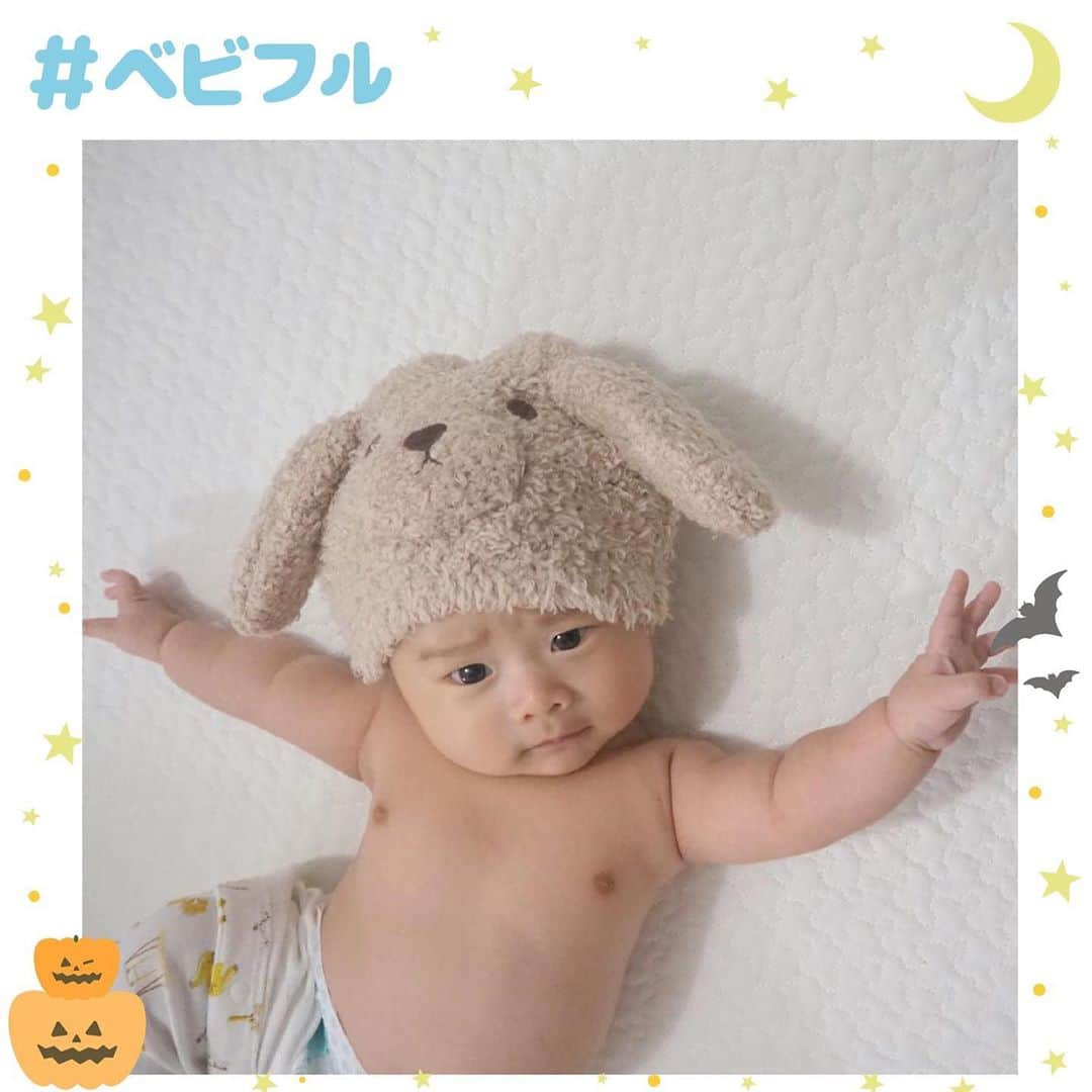 Babyful Storeさんのインスタグラム写真 - (Babyful StoreInstagram)「『キュートすぎるわんちゃん🥺💓』﻿ ﻿ ﻿ いつもベビフルを﻿ ありがとうございます👶🏻🧡💜﻿ ﻿ ﻿ 本日のピックアップフォト📸は…﻿ @haruto_snoopy さん✨﻿ ﻿ ﻿ わんちゃんな息子くん👶🏻🐶💕﻿ ﻿ なんとも言えない表情とおててが﻿ ばっちり決まっています☺️✨﻿ ﻿ じっとこちらを見つめる﻿ キラキラした瞳があまりにも愛おしく﻿ わざわざ拡大して見てしまいました🤣💭﻿ ﻿ あかちゃんと動物のコラボって、、﻿ どうしてこんなにかわいいのでしょう、、😩💓﻿ ﻿ このたびは、ため息が出るほど可愛らしい﻿ 素敵なご投稿をありがとうございました🙇‍♀️✨﻿ ﻿ ﻿ 𓄲𓄲𓄲𓄲𓄲𓄲𓄲𓄲𓄲𓄲𓄲𓄲𓄲𓄲𓄲﻿ ﻿ もうすぐ#ハロウィン ですね🎃😈﻿ ﻿ #ベビフル のハッシュタグを見ていると﻿ ハロウィンの仮装をしたお子さまの﻿ お写真やムービーがたくさん、、、﻿ ひとつひとつを見ながら、﻿ なんとも言えない可愛らしさに﻿ 胸がいっぱいになっています😩🧡﻿ ﻿ 今週は、そんな可愛らしいお子さまたちの﻿ 仮装を皆さまにご紹介しちゃいます！☺️✨﻿ おたのしみに💫👻💜﻿ ﻿ 𓄲𓄲𓄲𓄲𓄲𓄲𓄲𓄲𓄲𓄲𓄲𓄲𓄲𓄲𓄲﻿ ﻿ 今後ともベビフルを﻿ どうぞよろしくお願いいたします👶🏻💓﻿ ﻿ ﻿  #こども #親バカ部 #育児 #子育 #癒し #家族 #成長記録 #親バカ #親ばか部 #子育て #赤ちゃんのいる生活 #赤ちゃんのいる暮らし #子育てグラム #baby #kids  #instagood #instalike #ベビフル #ベビフルムービー #幸せな時間  #ほっこり #ハロウィンコスプレ #仮装 #ベビーコスチューム #ベビーコスプレ #Halloween」10月27日 18時40分 - babyful_official