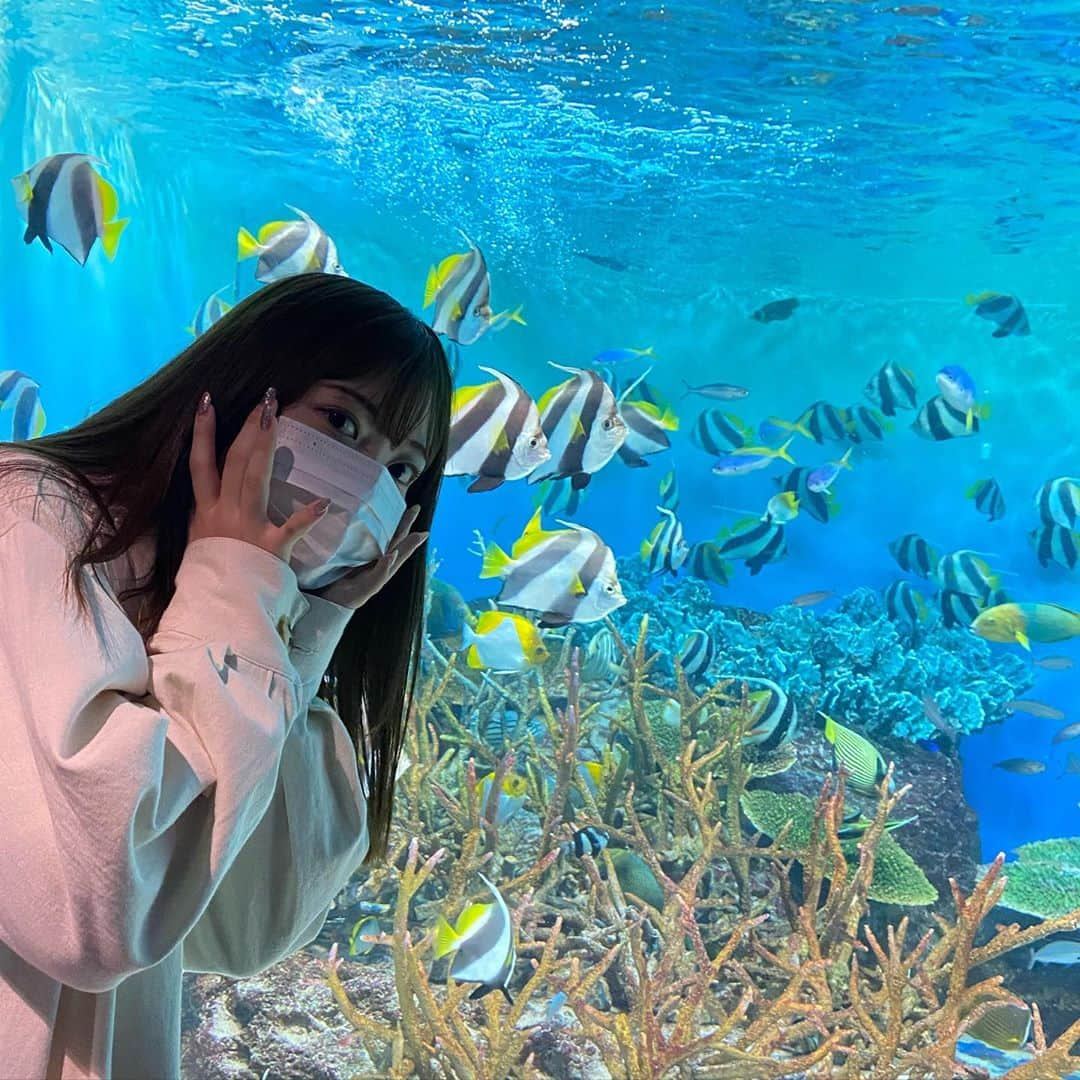 日下部愛菜さんのインスタグラム写真 - (日下部愛菜Instagram)「水族館デート🐟♡ 相手はもちろん @seiji_0007 !🐈 . . . 新潟市にあるマリンピアだよ〜！ . #水族館 #新潟 #マリンピア」10月27日 18時59分 - aina_kusakabe