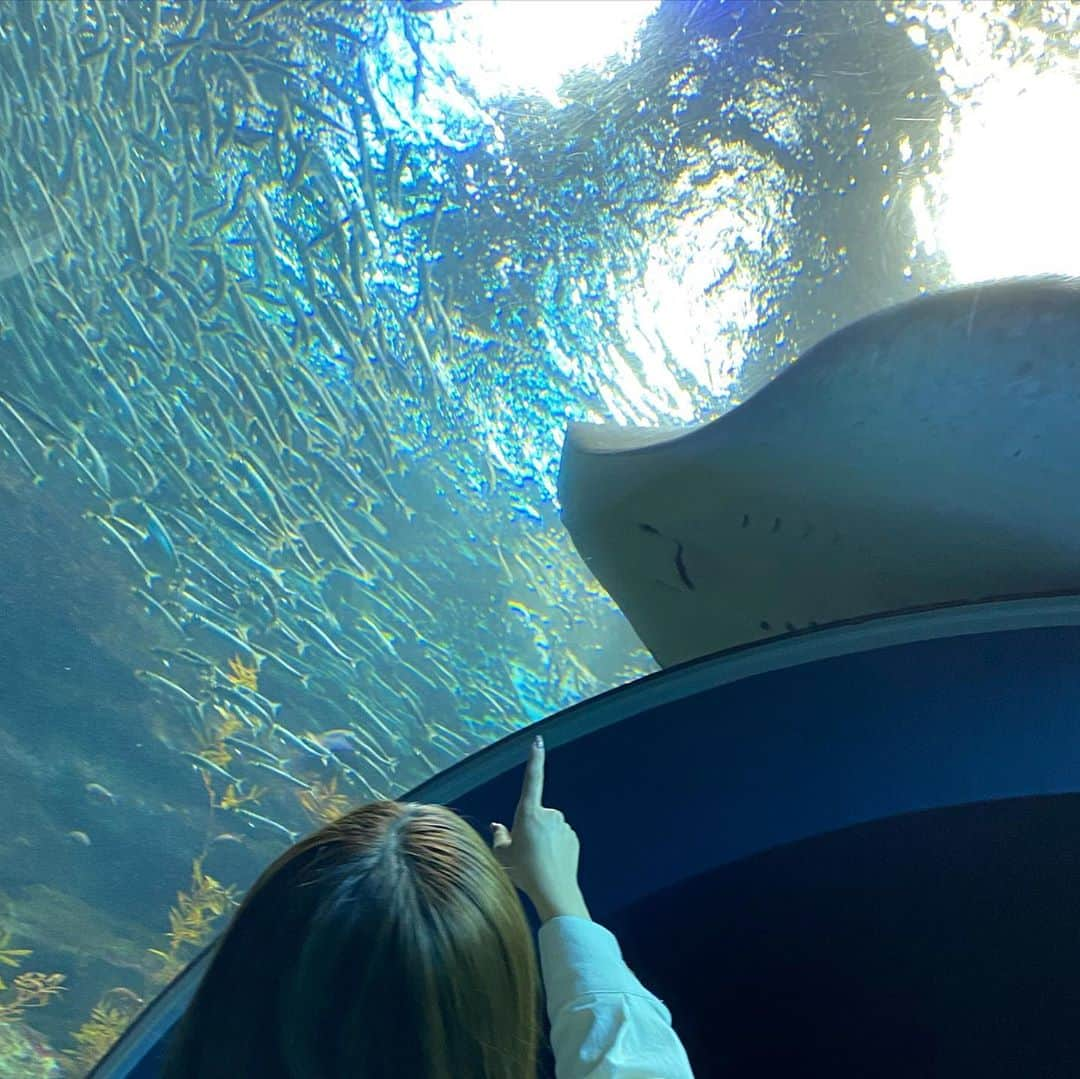 日下部愛菜さんのインスタグラム写真 - (日下部愛菜Instagram)「水族館デート🐟♡ 相手はもちろん @seiji_0007 !🐈 . . . 新潟市にあるマリンピアだよ〜！ . #水族館 #新潟 #マリンピア」10月27日 18時59分 - aina_kusakabe