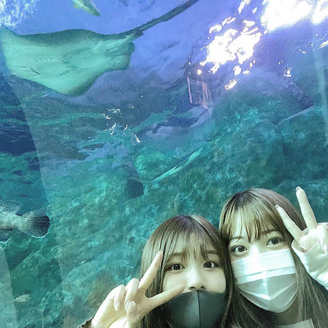 日下部愛菜さんのインスタグラム写真 - (日下部愛菜Instagram)「水族館デート🐟♡ 相手はもちろん @seiji_0007 !🐈 . . . 新潟市にあるマリンピアだよ〜！ . #水族館 #新潟 #マリンピア」10月27日 18時59分 - aina_kusakabe