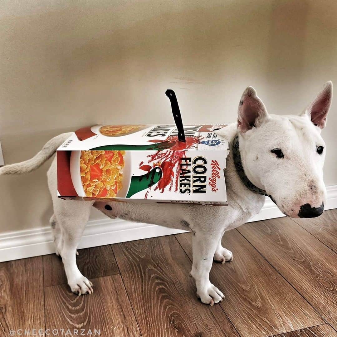 8crapのインスタグラム