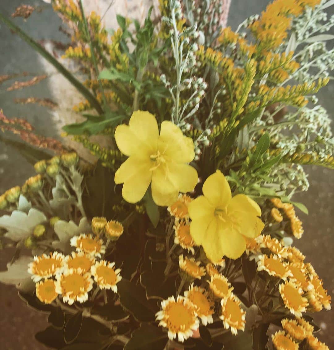 鶴田真由のインスタグラム：「お散歩しながらお花摘み。こうするとブタクサもカワイイ。けど、部屋に飾ったら鼻ぐずぐずになるかなぁ〜」