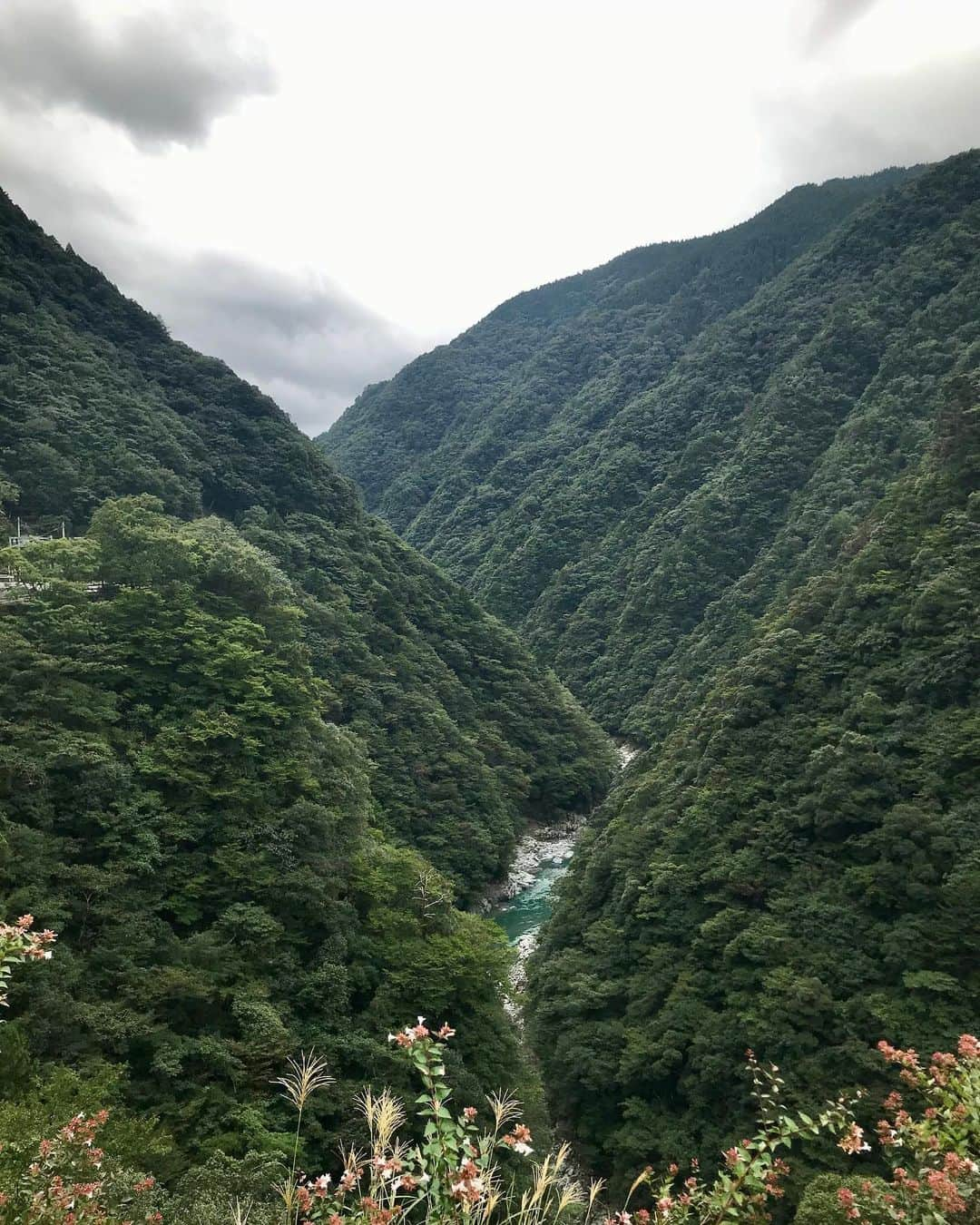 ヨーコさんのインスタグラム写真 - (ヨーコInstagram)「ヤッホー！  徳島へ行く時はだいたいノープラン。  友達に会って、明日どこ行こうかな？とか決めることが多い。  ドライブ中にトイレに行きたくなり立ち寄った展望台からこんな景色が見れた⛰  #徳島 #三好市 #祖谷  #奥祖谷 #祖谷渓展望台 #剣山近くまで行ったよー  #四国 #四国旅行 #とくしま再発見 #shikoku  #tokushima #miyoshi #iya #miyoshifinder #kazurabashi  2020.9.13 #千年のかくれんぼ_miyoshifinder_2020」10月27日 19時10分 - y0k0_1108