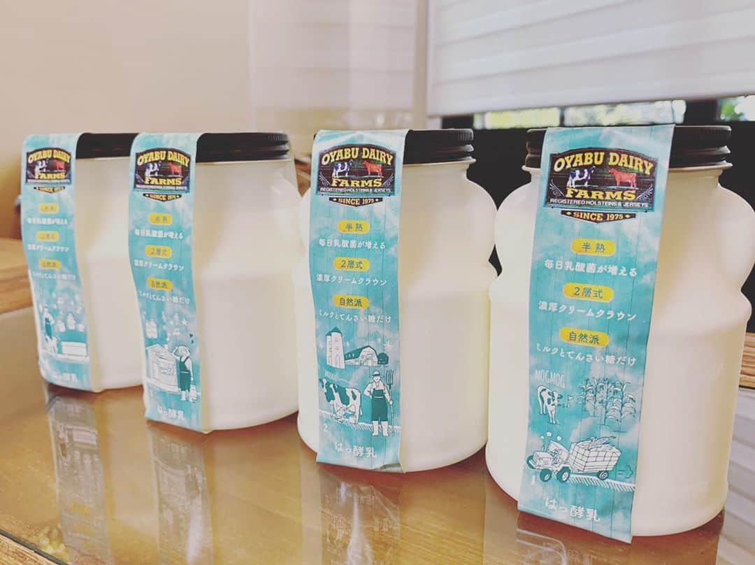 常盤よしこさんのインスタグラム写真 - (常盤よしこInstagram)「よーぐるちょで有名な 合志市のオオヤブデイリーファーム♡ 久しぶりに取材へ。 思い返すと、 かれこれ10年くらい前ですなぁ。。笑 益々パワーアップされてました♫  #オオヤブデイリーファーム #よーぐるちょ #みるころ #ジェイコム #人図鑑」10月27日 19時10分 - yoshiko.tokiwa