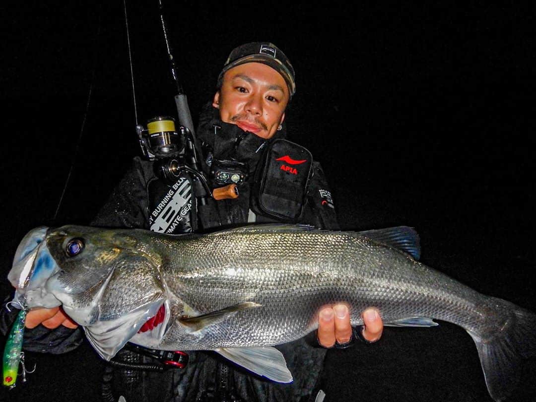 野中泰輔のインスタグラム：「最近の釣果🎣 まだ秋のハイシーズンだなと実感出来る釣果ではないけど…頑張ってます👍 色々な方のサポートと協力があって出せてる魚もいるので感謝ですね🙏  #bboytaisuke   ROD : APIA GRANDAGE STD 93MH & 76M REEL : SLP WORKS CERTATE CUSTOM BODY LT4000-CXH  WADER : RBB ZIPクロロプレーンウェーダー WEAR : RBB エクストリームウィンタージャケット VEST : RBB ウェイディングベストLIMITED  LINE : SUNLINE ソルティメイト キャリアハイ6  PE1号 & PE2号 LEADER : SUNLINE ソルティメイト カットイン  20lb & 30lb LURE : APIA PUNCHLINE80 PDG Vibra Mullet60S HU-N-GREEDIE  APIA MAYOL80S  参考までに！！」