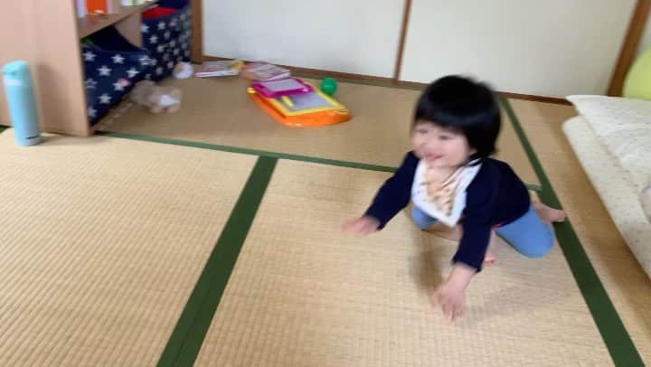 横山愛子のインスタグラム：「【ミスで再投稿】 ナイスキーパー❣️❣️ 長女はボールにあんまり興味ないけど…！ 次女はボール大好き(´∀｀*) 女の子だしサッカーは⚽️やらせたくないなぁ。。 でもやってる所応援に行きたい📣うるさいママになりそうだ😂 ストレッチポールでは、素晴らしい体幹❤️ #11ヶ月 #ストレッチポール #ゴールキーパー #女子サッカー」