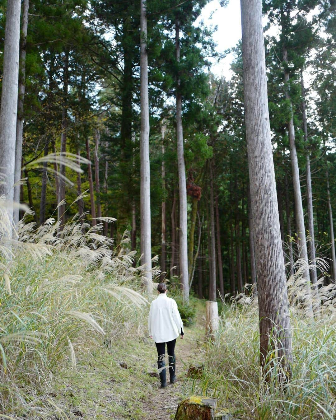 行方 久子 Hisako Namekataさんのインスタグラム写真 - (行方 久子 Hisako NamekataInstagram)「. 森で暮らす 森と暮らす  フードクリエーション綾子さんのシンプルで豊かな暮らし。」10月27日 11時33分 - hisakonamekata