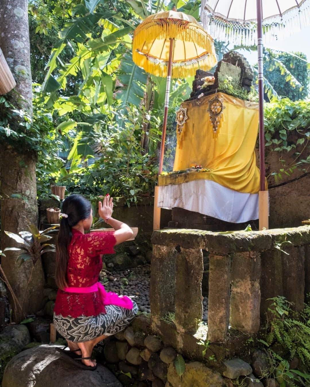 National Geographic Travelさんのインスタグラム写真 - (National Geographic TravelInstagram)「Photo by @francescolastrucci / The daily offering rituals are a common sight and experience in Ubud, central Bali. The persistent scent of incense burnt on offer to the gods and the bright colors of the flowers on the altars make the experience highly evocative and mystical. Follow me @francescolastrucci for more places, daily life, and stories around the world. #bali #indonesia #dailylife」10月27日 11時34分 - natgeotravel
