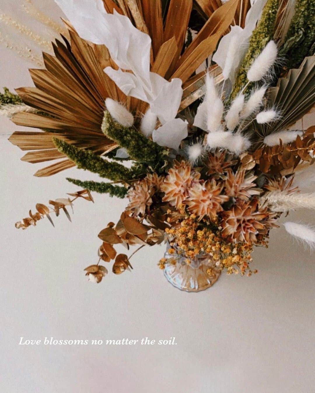 林咖安（Lyla）さんのインスタグラム写真 - (林咖安（Lyla）Instagram)「Love blossoms no matter the soil🌾  新的一天新的計畫新的開始🌼  #tuesdaymotivation  #newproject #花」10月27日 12時17分 - _______lyla_______