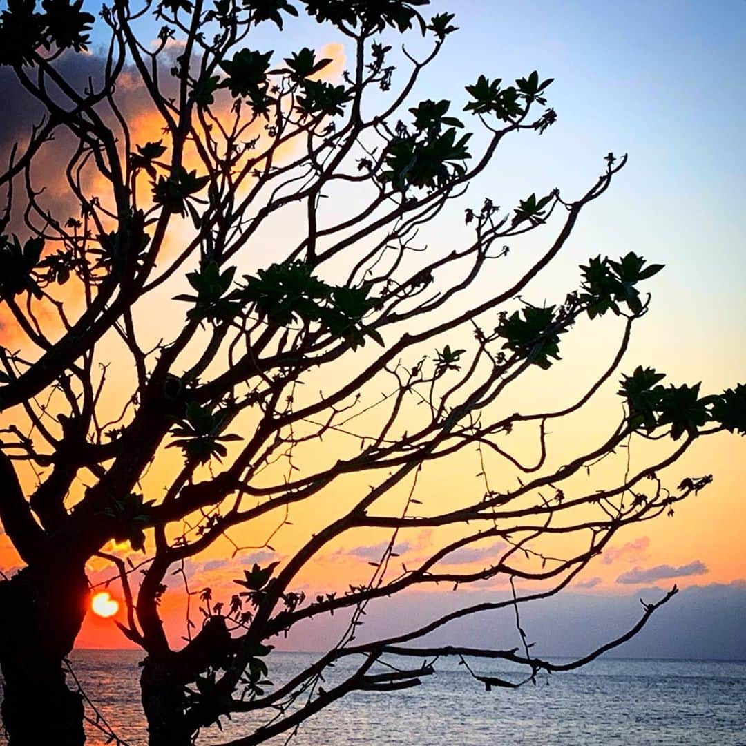 福田朋夏さんのインスタグラム写真 - (福田朋夏Instagram)「昨日、今日と、夏みたいな日差しでとても気持ち良かった。サンセットも綺麗だった✨ まだまだ海に入りたいから寒くならないで欲しい🥺 #okinawa #sunset」10月27日 19時29分 - tomoka_fukuda