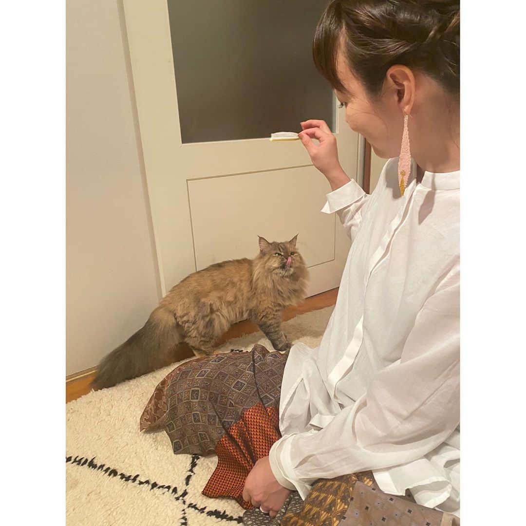 新井麻希さんのインスタグラム写真 - (新井麻希Instagram)「* 猫飼い始めました！ 名前は、えぐりと申します。 びびりちゃんですが、甘えん坊です。 * もし良かったら、えぐりちゃんのアカウントもフォローしてください😊🐈　5時に夢中！に出て、フォロワーが3人しかいないと言ったら、いっぱいフォローしてもらえてやったー！🤣 * @eglythecat」10月27日 19時30分 - makiarai58