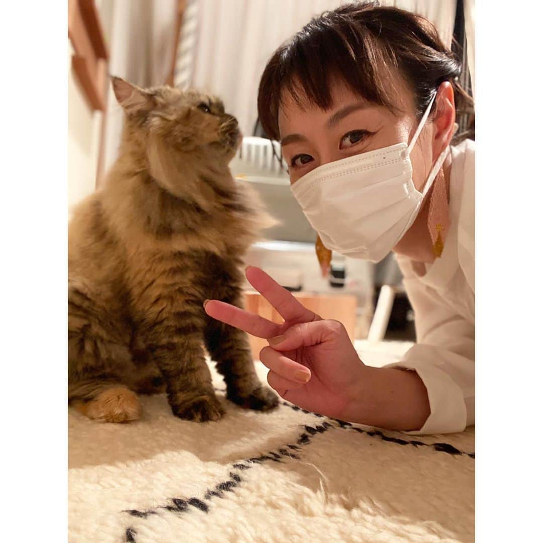 新井麻希さんのインスタグラム写真 - (新井麻希Instagram)「* 猫飼い始めました！ 名前は、えぐりと申します。 びびりちゃんですが、甘えん坊です。 * もし良かったら、えぐりちゃんのアカウントもフォローしてください😊🐈　5時に夢中！に出て、フォロワーが3人しかいないと言ったら、いっぱいフォローしてもらえてやったー！🤣 * @eglythecat」10月27日 19時30分 - makiarai58