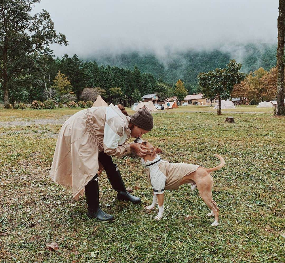 Fabiolla Takinamiさんのインスタグラム写真 - (Fabiolla TakinamiInstagram)「全ての仕草が愛おしい🤍 君のためならなんでもやれる🐶  #love#doggybro#pitbull #fabro_」10月27日 14時15分 - fabi_olla