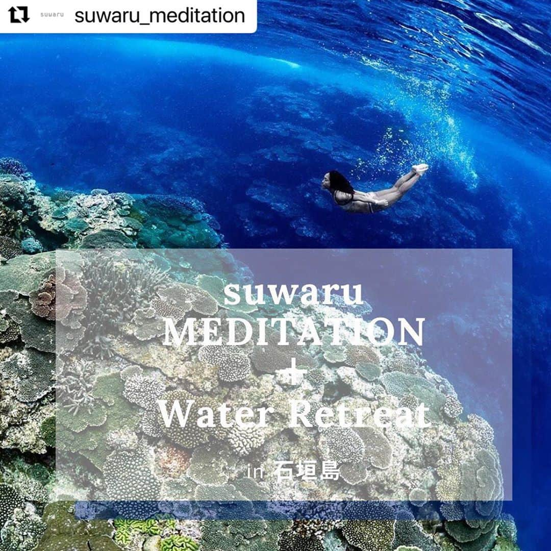 二木あいさんのインスタグラム写真 - (二木あいInstagram)「#Repost @suwaru_meditation ・・・ 12月3日から6日までの3泊4日で石垣島のプライベートビーチのある宿に滞在して瞑想リトリートを開催します。 今回のリトリートのテーマは“本来の自分に戻る” 日常を離れ、自分自身と向き合うことで身も心もリフレッシュしませんか。  石垣島の豊かな自然の中で、ニーマル先生と二木あいさんと過ごすMeditateな4日間 少しだけ立ち止まって“本来の自分”を見つけに行きましょう。 かけがえのない瞬間と出会えます。  講師： ギネスホルダーのスキンダイバー二木あい さん　× 　ニーマル先生 @nirmal1976   更に詳しい内容&申し込みはwebから。  https://www.suwaru.co.jp/retreat  コロナ対策のため人数を制限してご案内いたします。 • • • #瞑想 #スワル #メディテーション #マインドフルネス #マインドフルネス瞑想 #ウェルネス #脳 #脳トレ #ヨガ #呼吸法 #瞑想タイム #瞑想時間 #ココロとカラダ  #今ここ　#自分を大切に #自然の法則 #mindfulnessmeditation #suwaru #mindfulness #meditation #nirmalmethod #wellness #love」10月27日 14時44分 - aifutaki